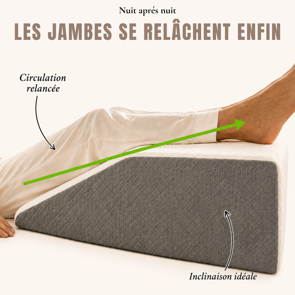 ELYNE Logger+