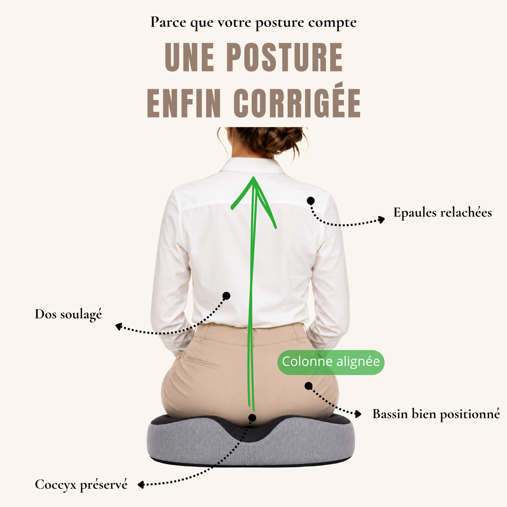 ELYNE Office